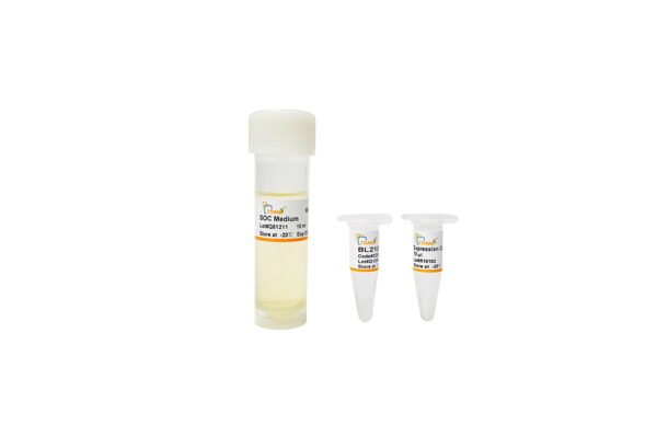 BL21(DE3) Chemically Competent Cell, 20×100 µl
