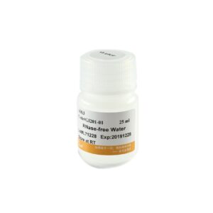 RNase-free Water (25 ml)