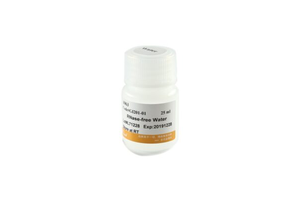 RNase-free Water (25 ml)