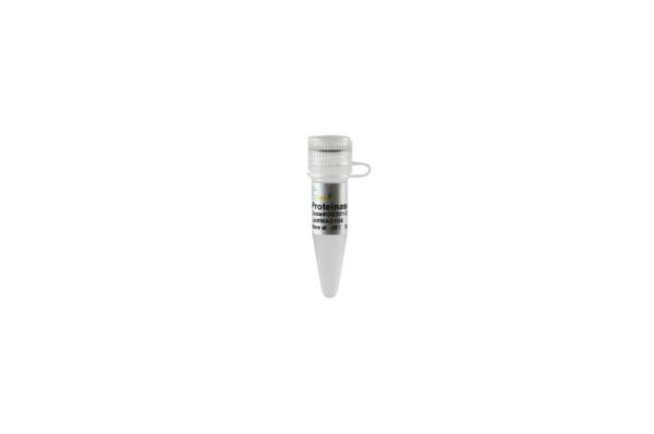 Proteinase K (1 ml)