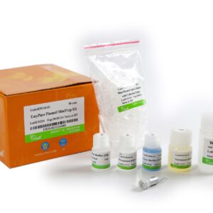 EasyPure®  Plasmid MiniPrep Kit (200 rxns)