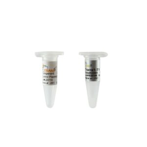 Trans1-T1 Phage Resistant Chemically Competent Cell (10×100 µl)