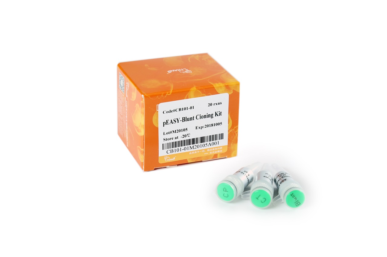 pEASY®-Blunt Cloning Kit (60 rxns)