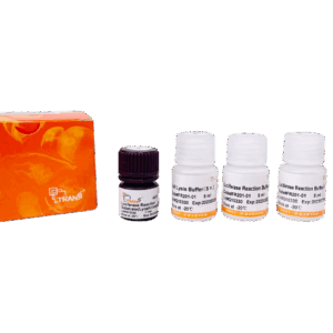 TransDetect® Double-Luciferase Reporter Assay Kit (200 rxns)