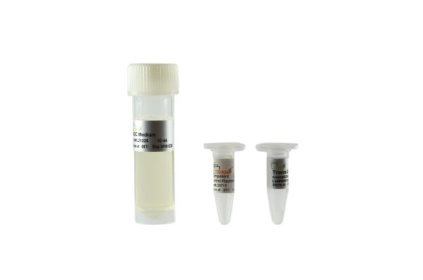 Trans2-Blue Chemically Competent Cell (10×100 µl)