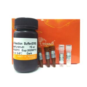 TransDetect® EdU Imaging Kit-488 Fluorophore (50 rxns)