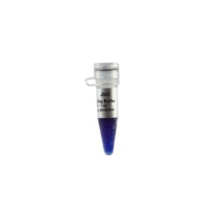 2×RNA Loading Buffer (1 ml)