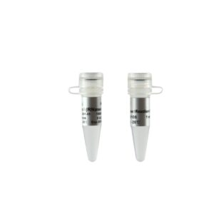DNase I (RNase-free) (1500 units)