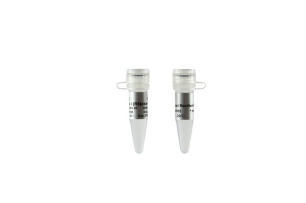 DNase I (RNase-free) (1500 units)