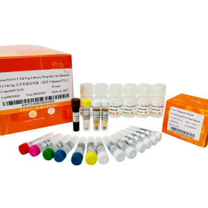 TransNGS® CUT&Tag Library Prep Kit for Illumina® (12 rxns)