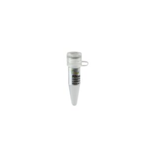 RNase A (1 ml)