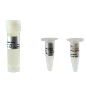 TransB(DE3) Chemically Competent Cell (10×100 µl)
