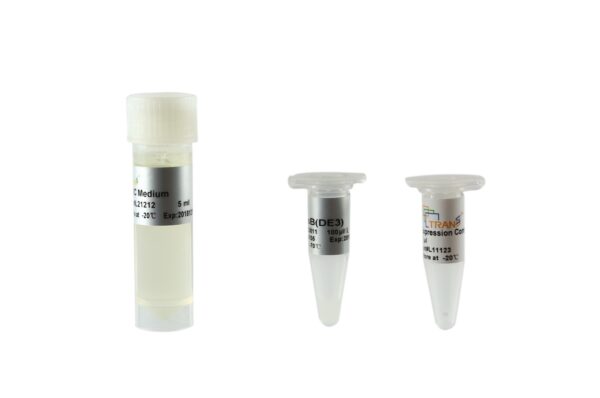 TransB(DE3) Chemically Competent Cell (10×100 µl)