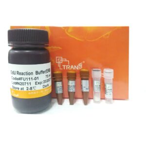 TransDetect® EdU Imaging Kit-555 Fluorophore (50 rxns)