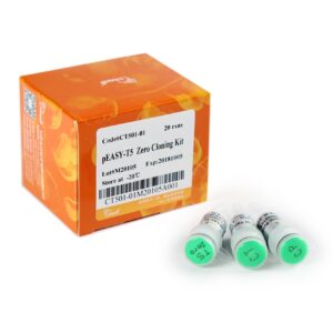 pEASY®-T5 Zero Cloning Kit (20 rxns)