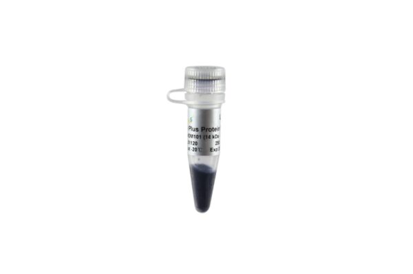 Blue Plus® Protein Marker (14-100 kDa) (250 µl)