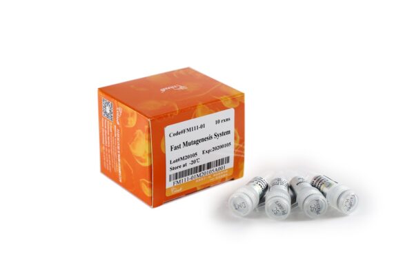 Fast Mutagenesis System (20 rxns)