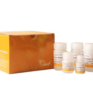 MagicPure® Mouse Tissue Genomic DNA Kit (50 rxns)