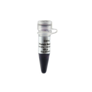 Blue Plus® II Protein Marker (14-100 kDa) (250 µl)