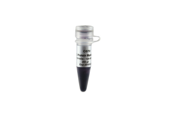 Blue Plus® VI Protein Marker (14-100 kDa) (250 µl)