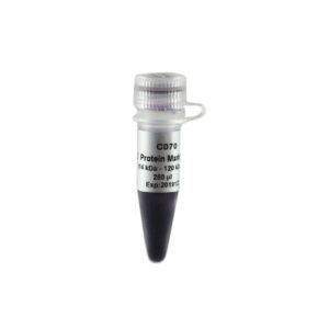 Blue Plus® II Protein Marker (14-100 kDa) (250 µl)