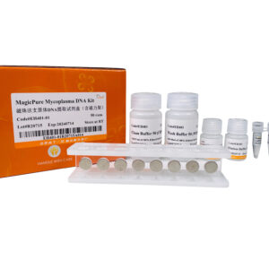 MagicPure® Mycoplasma DNA Kit (50 rxns)