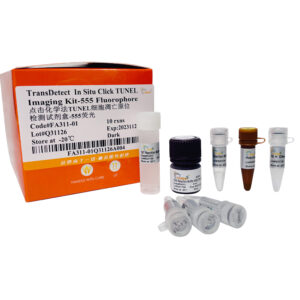TransDetect® In Situ Click TUNEL Imaging Kit-555 Fluorophore (10 rxns)