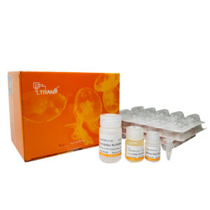 EasyPure® Fast Cell RNA Kit (200 rxns)