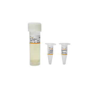 Transetta(DE3) Chemically Competent Cell (10×100 µl)