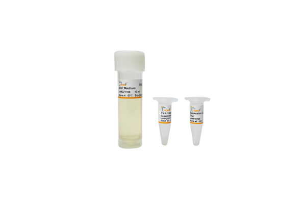 Transetta(DE3) Chemically Competent Cell (10×100 µl)