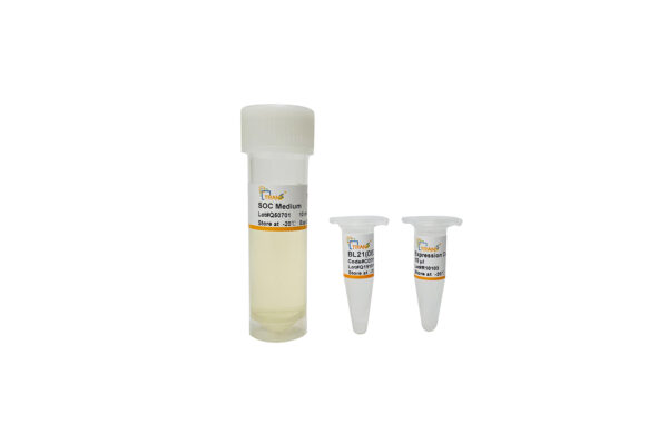 BL21(DE3) pLysS Chemically Competent Cell (20×100 µl)