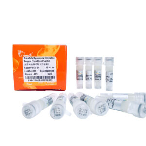 TransSafeTM Mycoplasma Elimination Reagent (TransMyco Plus) Kit (10x1 ml)