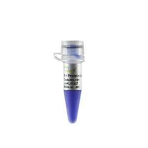 6×Protein Loading Buffer (5x1 ml)