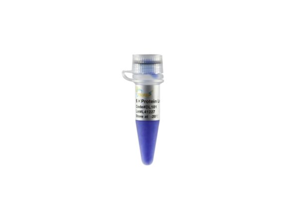 6×Protein Loading Buffer (5x1 ml)