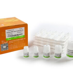 EasyPure® FFPE Tissue Genomic DNA Kit (50 rxns)