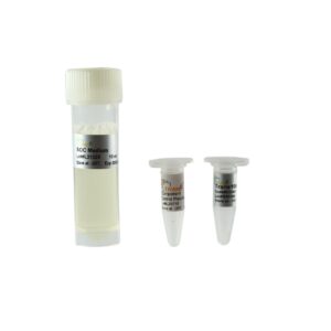 Trans1-Blue Chemically Competent Cell (10×100 µl)