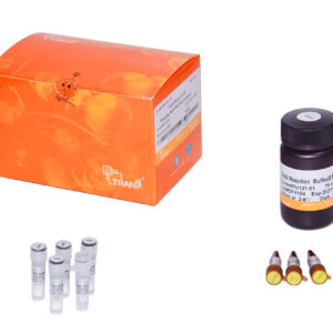 TransDetect® EdU Imaging Kit-594 Fluorophore (50 rxns)