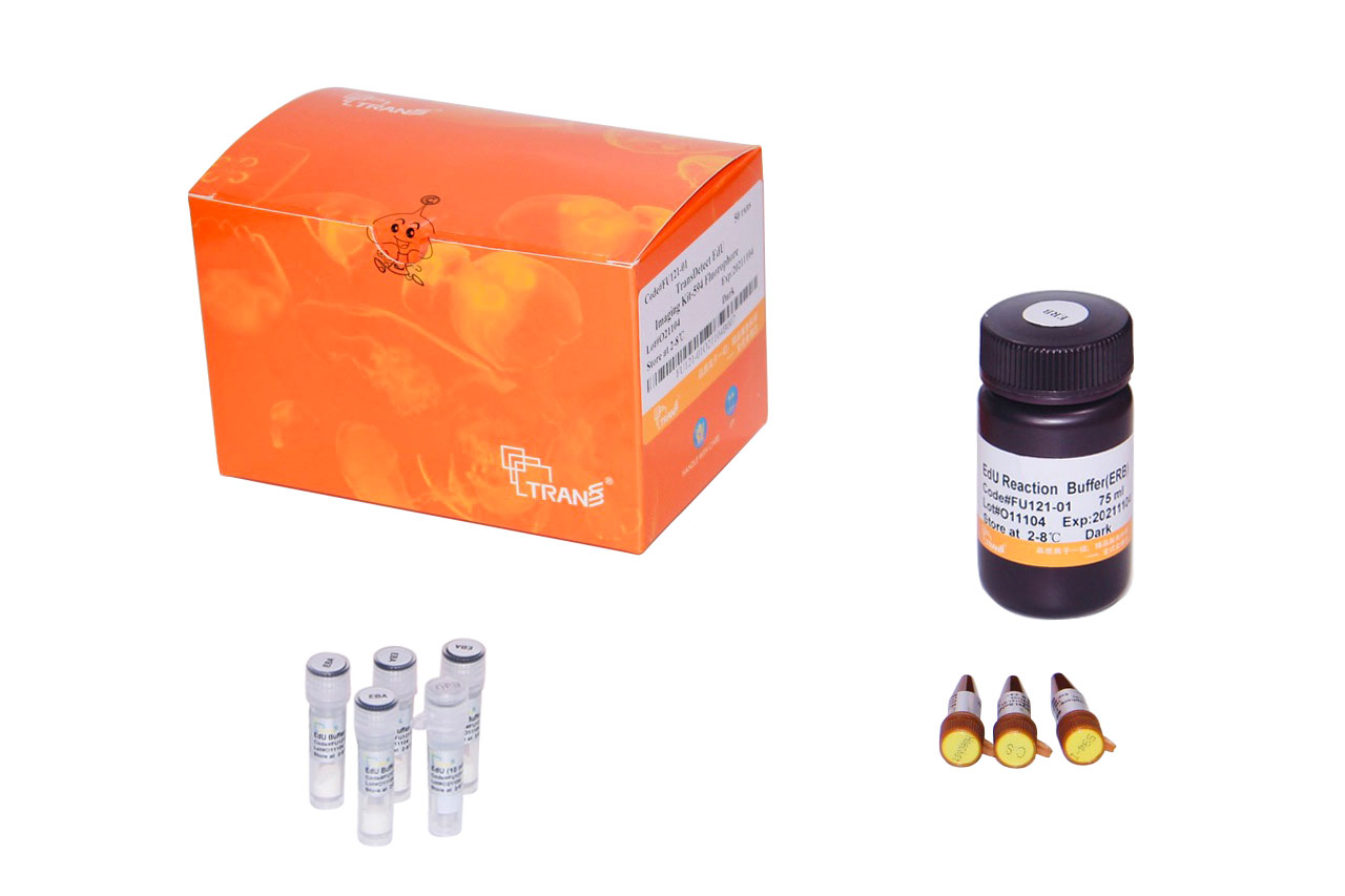 TransDetect® EdU Imaging Kit-594 Fluorophore (50 rxns)