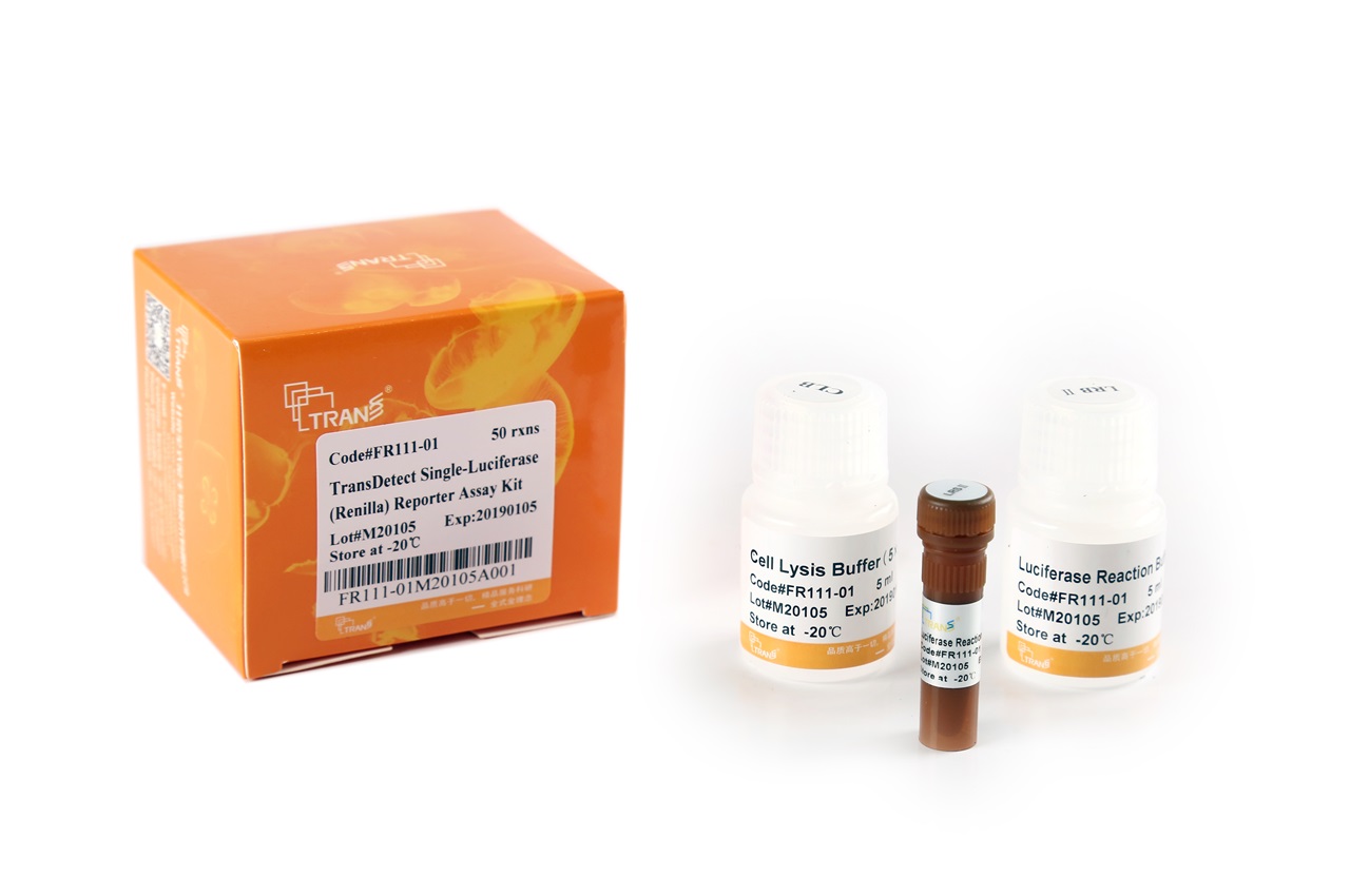 TransDetect® Single-Luciferase (Renilla) Reporter Assay Kit (50 rxns)
