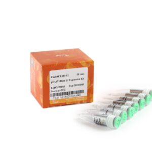 pEASY®-Blunt El Expression Kit (10 rxns)