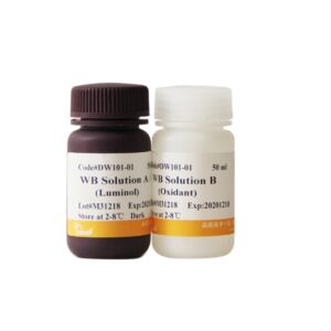 EasySee® Western Blot Kit (100 ml)
