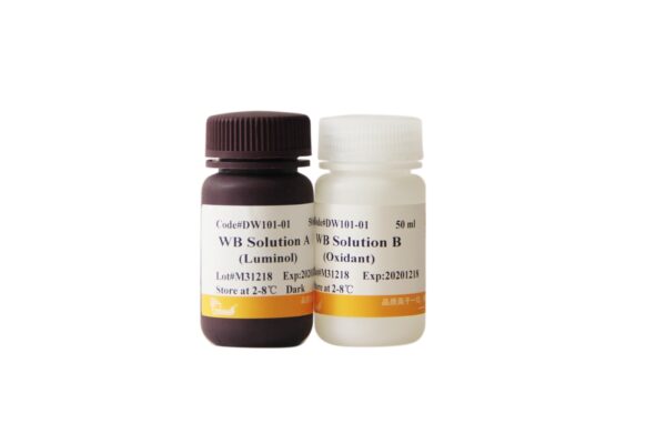 EasySee® Western Blot Kit (200 ml)