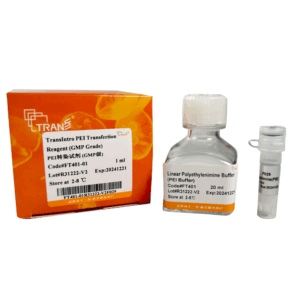 TransIntro® PEI Transfection Reagent (GMP Grade) (1 ml)
