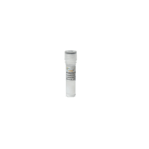 ProteinIso® Protein A/G Resin (1 ml)