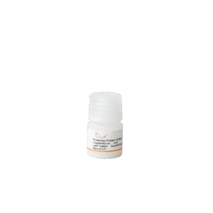 ProteinIso® Protein G Resin (5 ml)