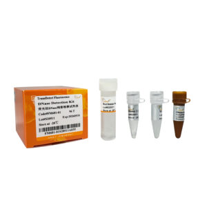 TransDetect® Fluorescence DNase Detection Kit (480 T)