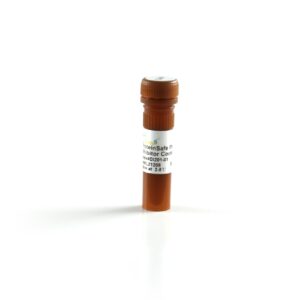 ProteinSafeTM Phosphatase Inhibitor Cocktail (100×) [500 µl]
