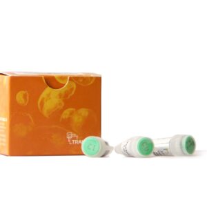 pEASY®-Basic Seamless Cloning and Assembly Kit (20 rxns)