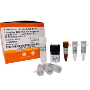 TransDetect® In Situ Click TUNEL Imaging Kit-488 Fluorophore (10 rxns)