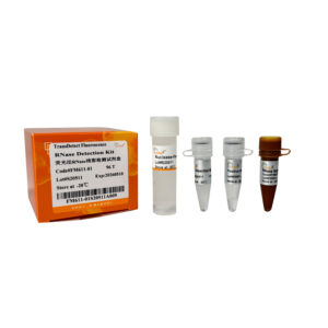 TransDetect® Fluorescence RNase Detection Kit (480 T)